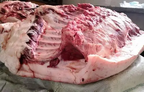 10斤肥猪肉照片