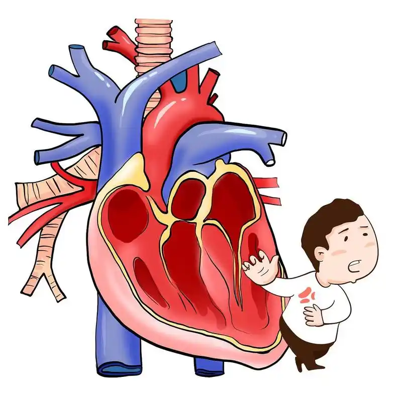 使用利伐沙班进行抗凝治疗时,以下12点非常重要
