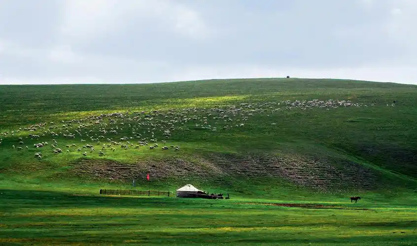 美民·美食 | 到蒙古族阿妈家喝奶茶——蒙古族奶食品