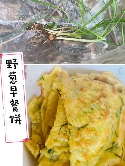 野菜之野葱or小野蒜薤白的4种吃法