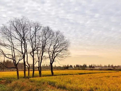 秋天的田野,丰收的田野,充满希望的田野!