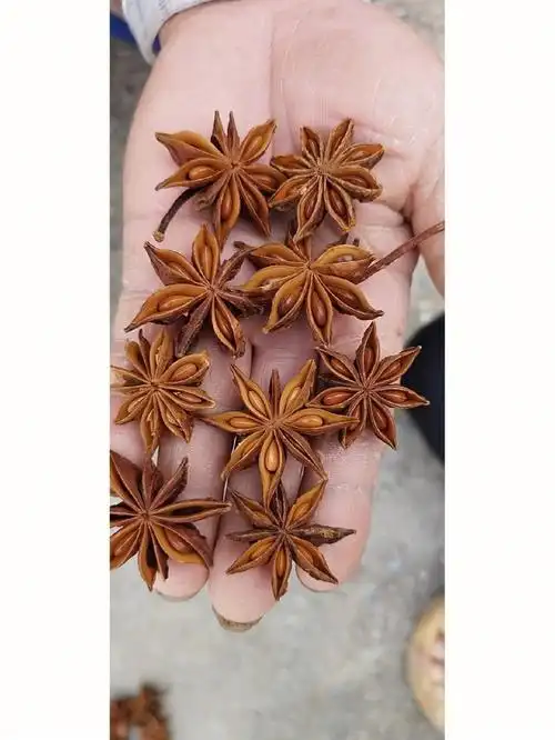 广西八角大料25元斤要多包油思聊