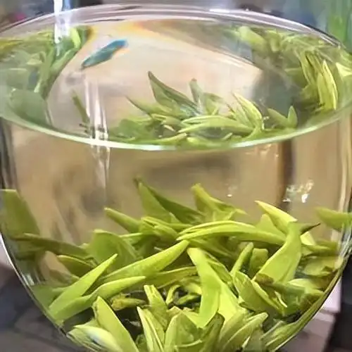 正宗西湖龙井图片 - 搜狗图片搜索