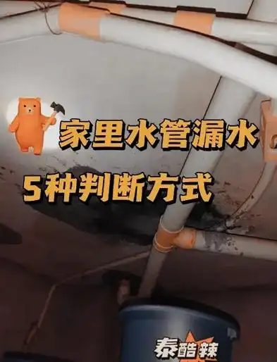 5种水管漏水判断方法.水管漏水检测定位水管漏水维修水管漏 - 抖音