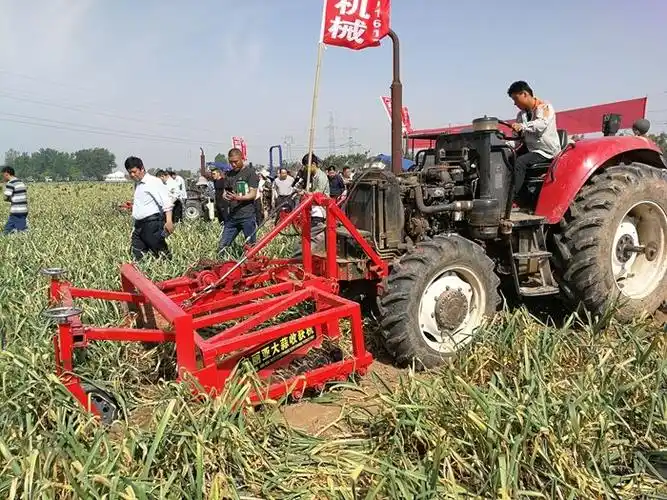 大蒜机械化收获