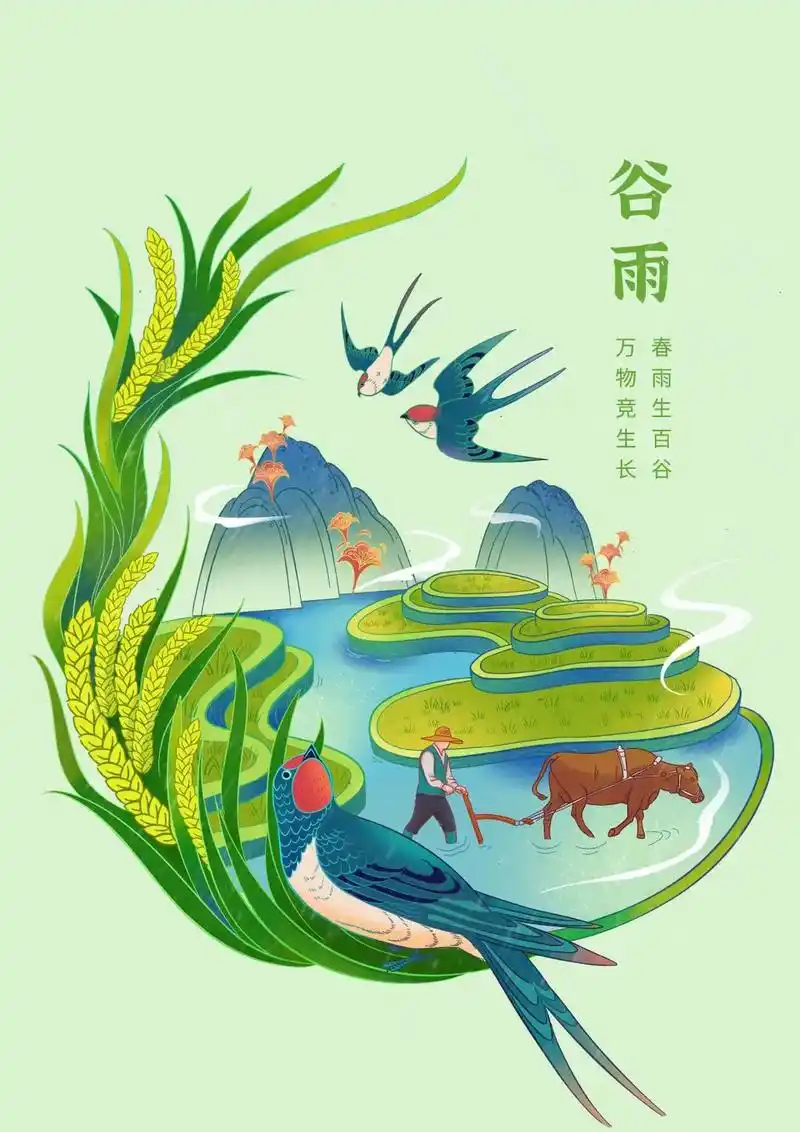 二十四节气插画谷雨绘画
