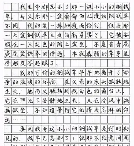 原创中学学霸的期中考试满分作文,不仅文采飞扬,而且字迹堪比教科书