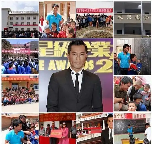 林雪揭露香港慈善黑幕:明面上做慈善的就两人,刘德华和古天乐!