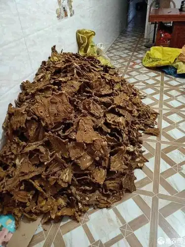 [笋干批发]黄笋干 竹笋干价格40元/斤 - 惠农网