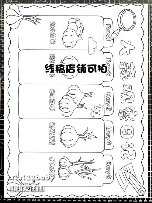 00大蒜观察日记手抄报植物蒜苗生长记录过程