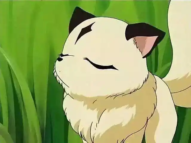 犬夜叉中珊瑚的伙伴云母,是个两尾猫,平时小巧可爱.