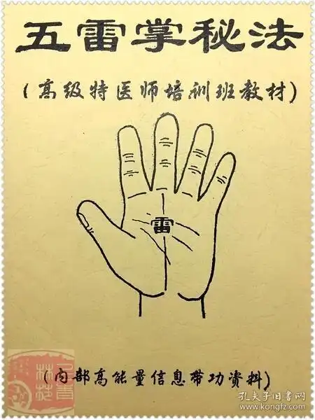 五雷掌秘法(高级 特 医师培训班教材) 现货