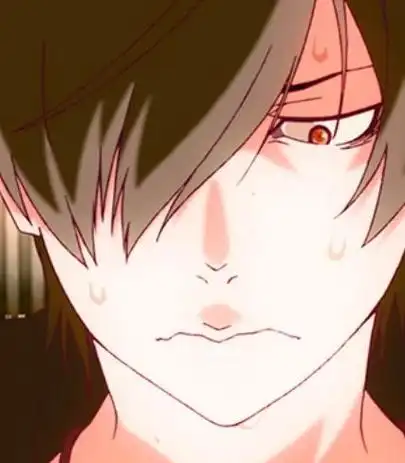 本系列故事的开端,以主角阿良良木历遇到受伤的吸血鬼——姬丝秀忒?