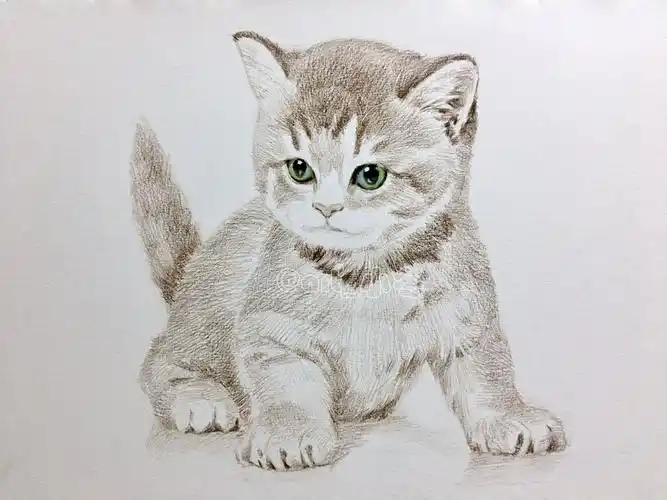 彩铅《小猫咪》