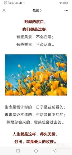 人生,看透不如看淡