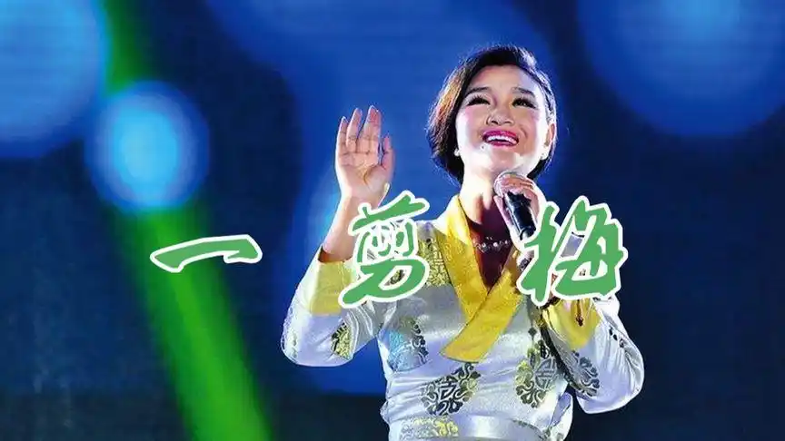 降央卓玛一首《一剪梅》经典好听,老歌韵味十足,让人陶醉!