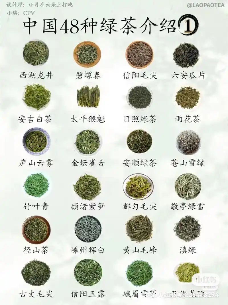 入门级!绿茶知识大全  春天,是绿茶的天 - 抖音