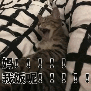 我饭呢_我饭表情