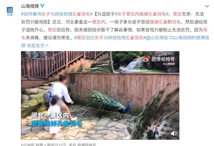 一女子拔掉孔雀羽毛哄孩子开心孔雀慌乱逃窜隔着屏幕看都疼