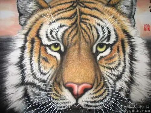 张天虎工笔花鸟老虎(福)0902