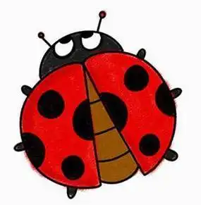 希望能满足您的需求,查找更多瓢虫简笔画,瓢虫简笔画图片 可爱内容,尽