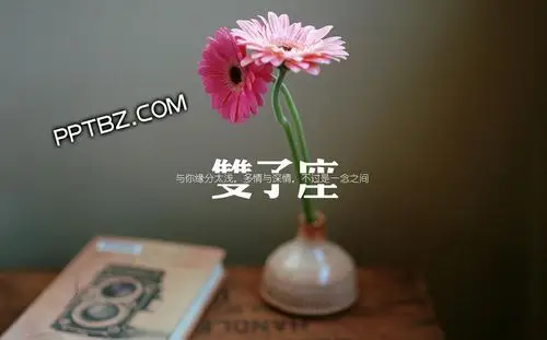 双子座唯美ppt背景图片下载