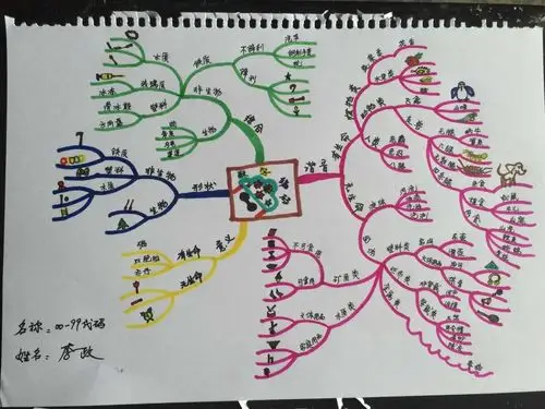李政思维导图武林计划no1数字代码分类