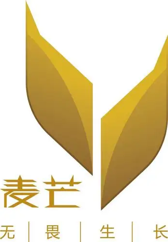 特质一个年轻的,富有运动气质的品牌中国电信和华为的联合品牌「麦芒