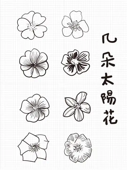 画一画太阳花 #简笔画   #画个简笔画   #画画的日常   #重瓣太阳花