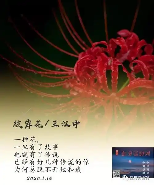 「红月亮诗刊」总第267期‖王汉中:彼岸花(组诗)