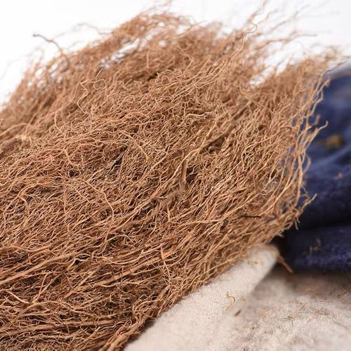 伟博 中草药白龙须50g/250g 中药材八角枫根须状根八角梧桐根 50g