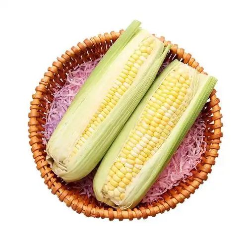 生态金银玉米500g(2穗)