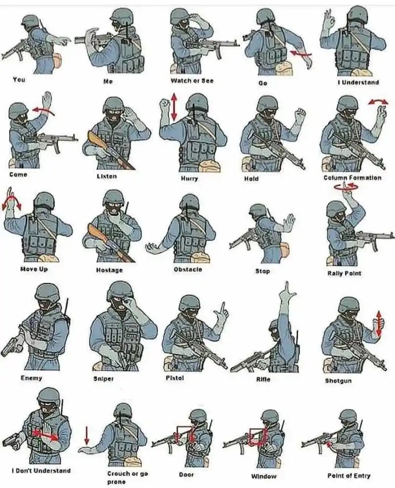 军用手势(一) 从左往右 1. 你 2. 我 3. 观察 4. 走 5. 我明白了 6.