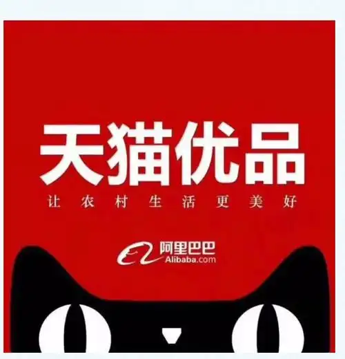 天猫优品入住合尤镇