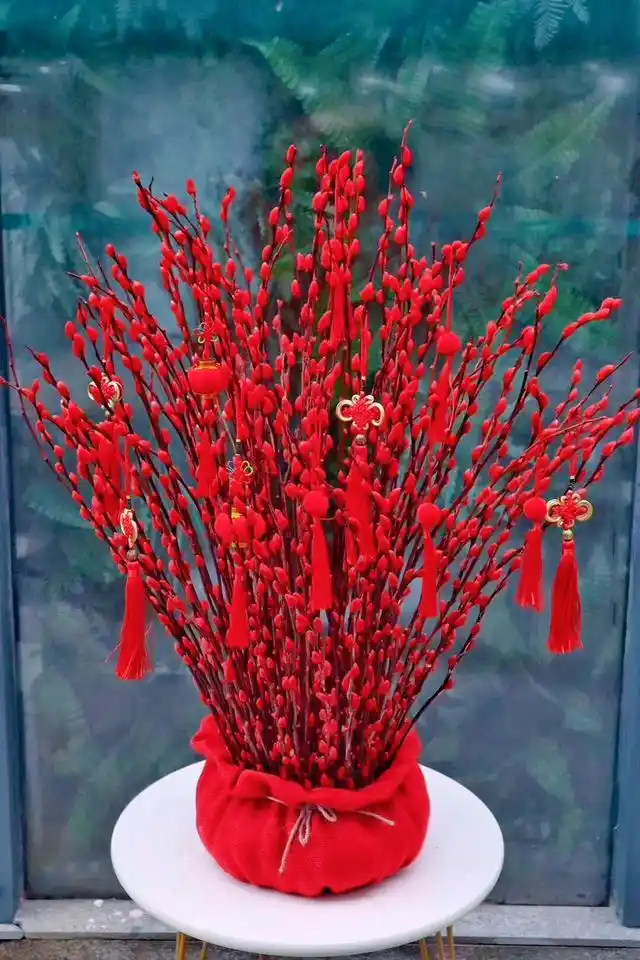 银柳福袋春节带回家吧