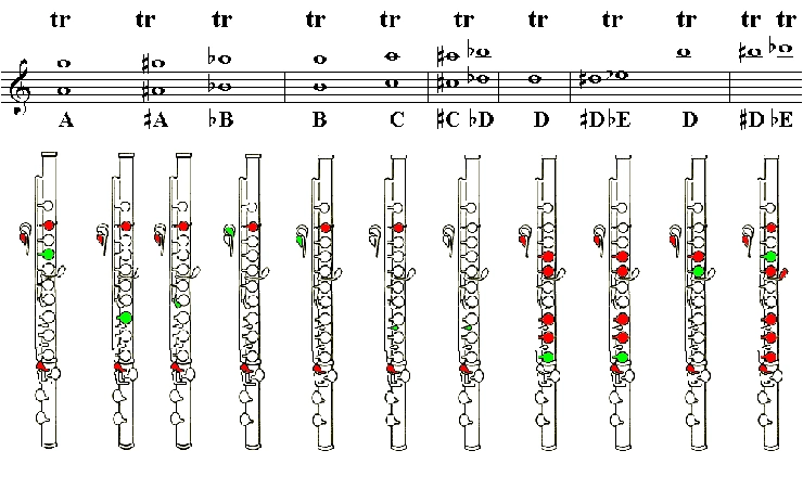 免费文档 所有分类 人文社科 设计/艺术 管乐器指法表 小号指法 圆号