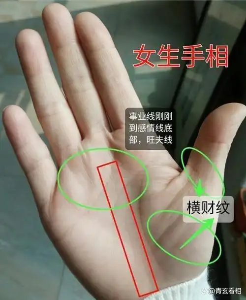 手相学中,可以根据一个人的手掌形状来预测他未来的运势,即手相能够