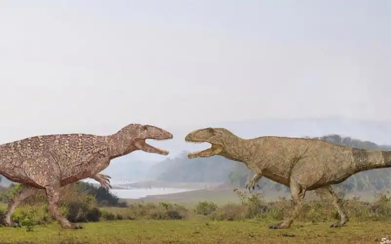 【终极掠食者之战】鲨齿龙vs南方巨兽龙-动物视频-搜狐视频