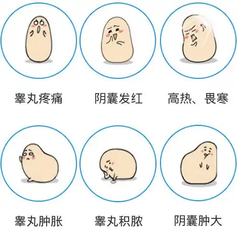 睾丸炎的治疗方法