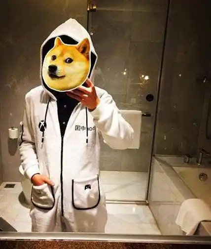 mrquin秦先生什么梗摸鱼表情包分享