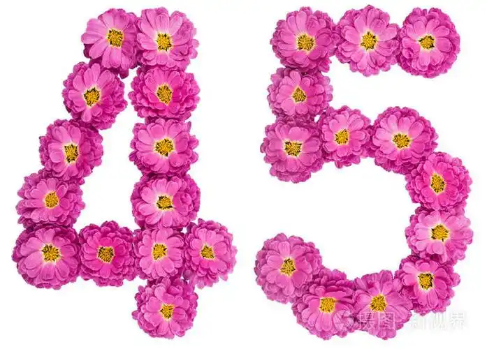 阿拉伯数字45四十五从菊花花是