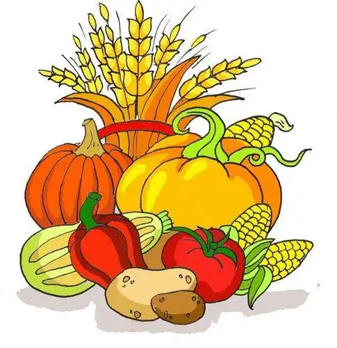 丰收的简笔画怎么画丰收的简笔画图片大全