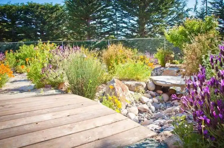 四季皆景的旱溪如何造?不妨来看看_石块_景观_植物