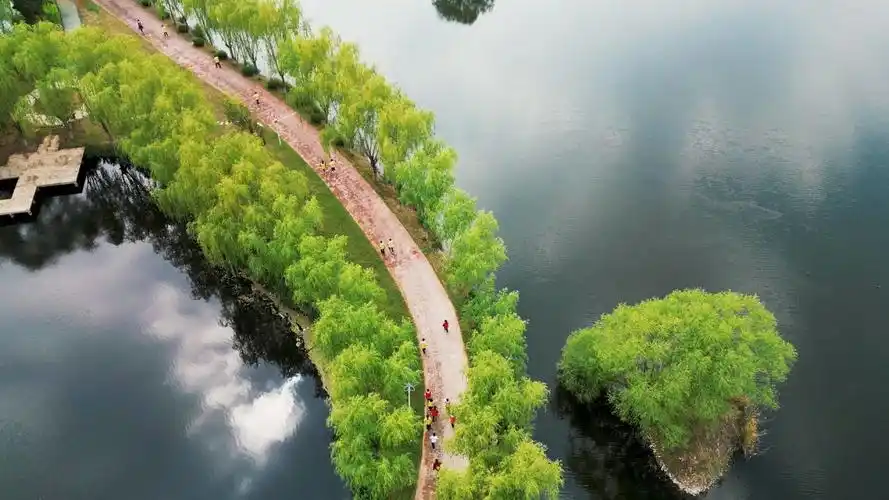 暮春航拍枣庄月亮湾湿地公园 风光秀美令人赏心悦目