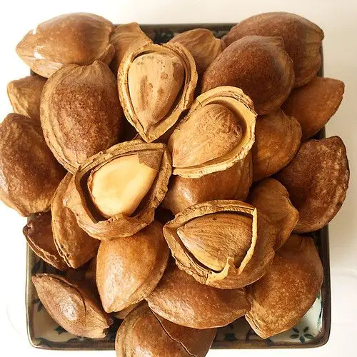 河北承德特产开口原味五香杏仁 手剥小银杏 坚果零食炒货500g