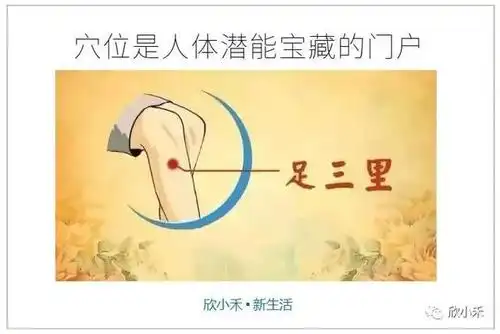 学中医|学会用足三里穴,以后胃痛不用忍着啦