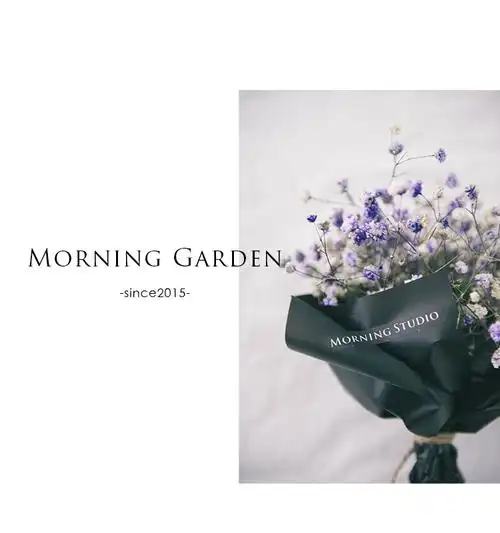 满天星 花语为:清纯,关怀 情感上,代表着"甘愿做配角的爱".