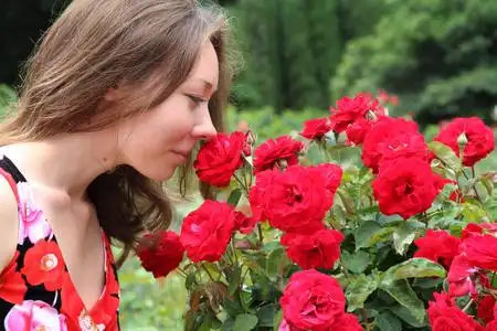 女孩闻着玫瑰花的香味照片