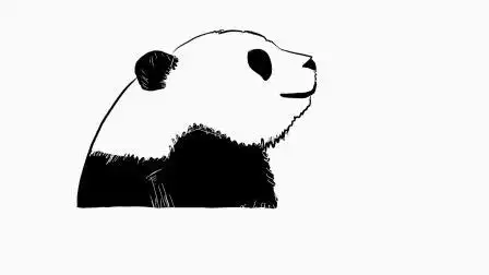 一只熊猫的思考,只要善于发现,世界并不是非黑即白