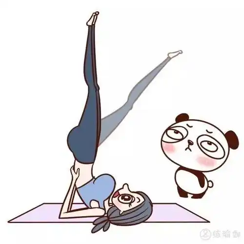 体式之母肩倒立瑜伽中的万能药